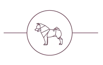 Dog Grooming